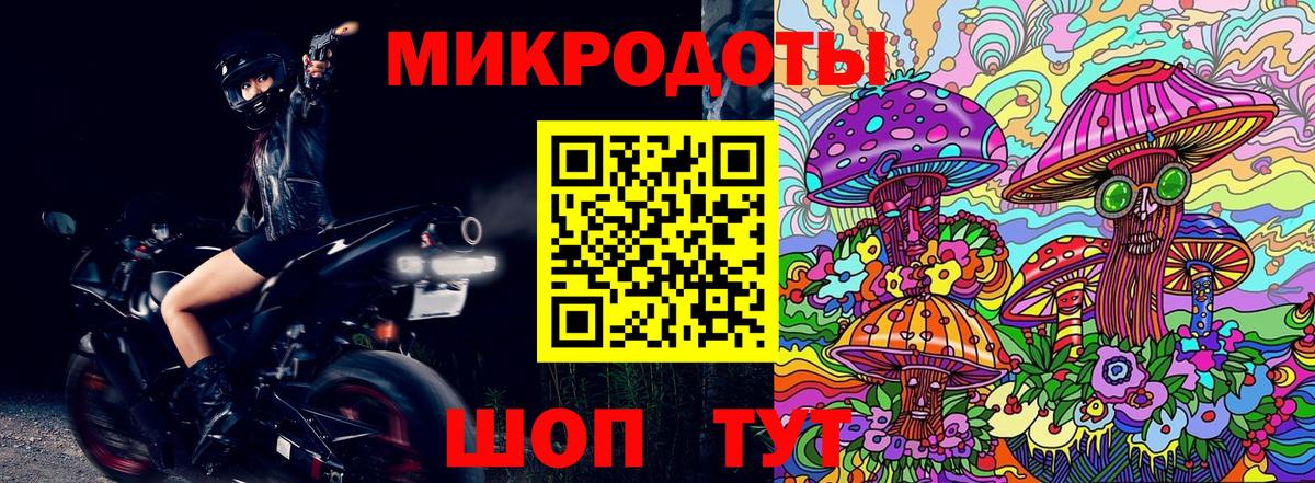 Новоалександровск  Галлюциногенные грибы Psilocybe  Вход с VPN 